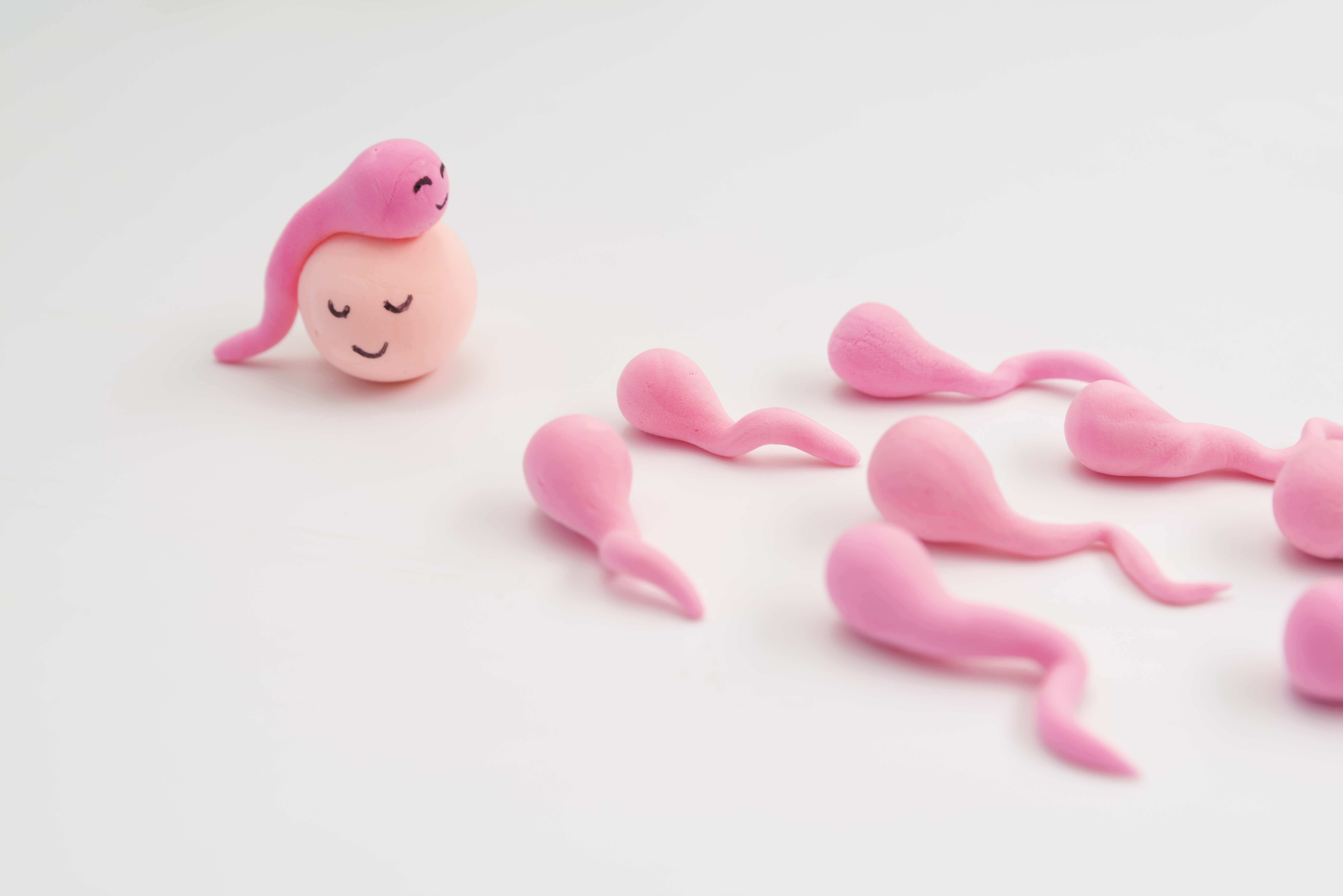 Egg Freezing & Fertility Preservation